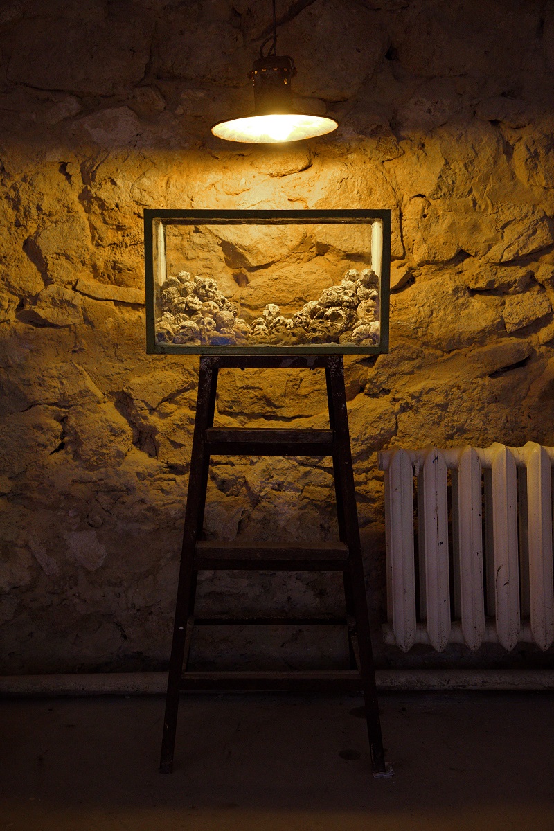 Expozitie Image