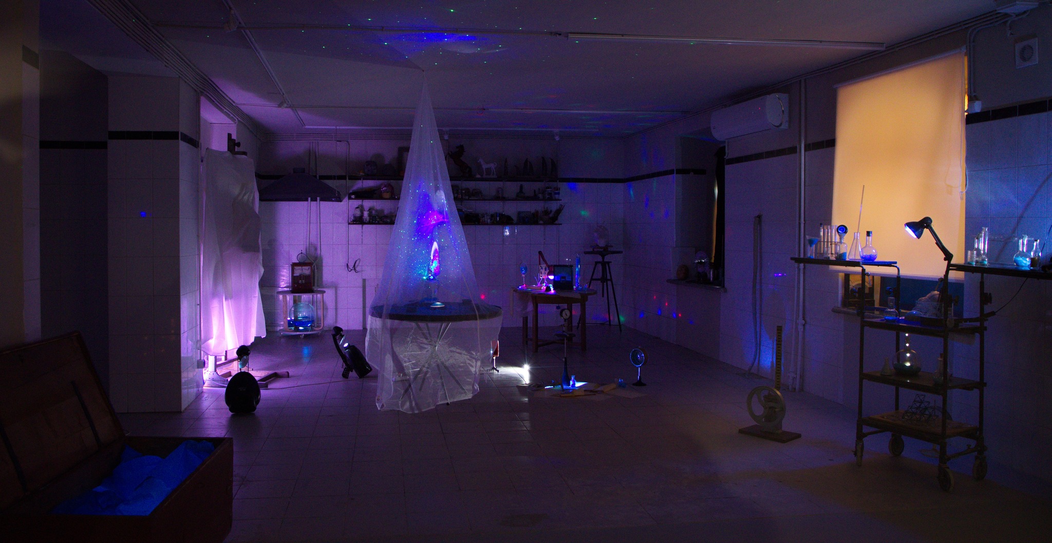 Expozitie Image