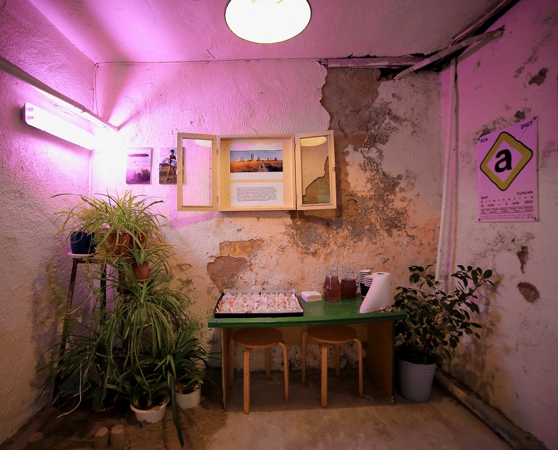 Expozitie Image