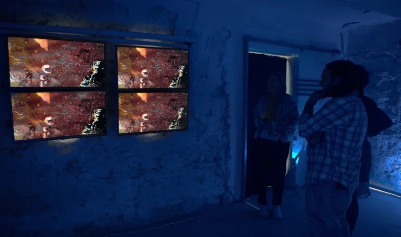Expozitie Image